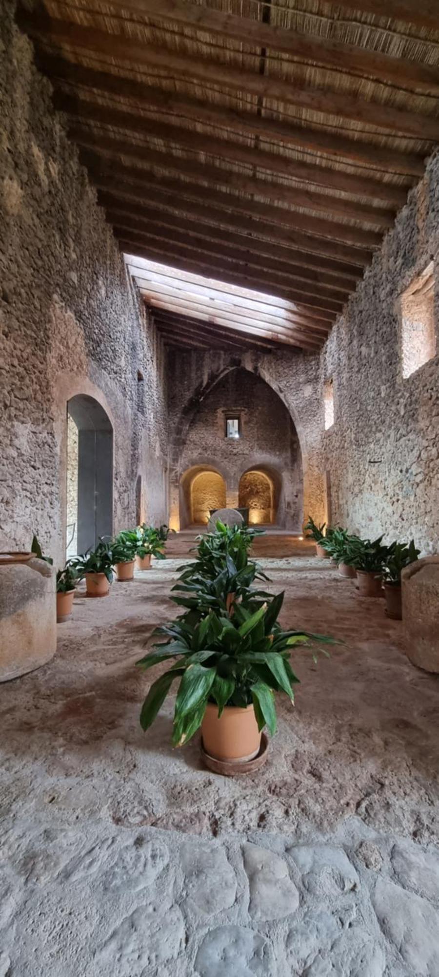 Finca Es Cabas Santa Maria del Cami  Dış mekan fotoğraf
