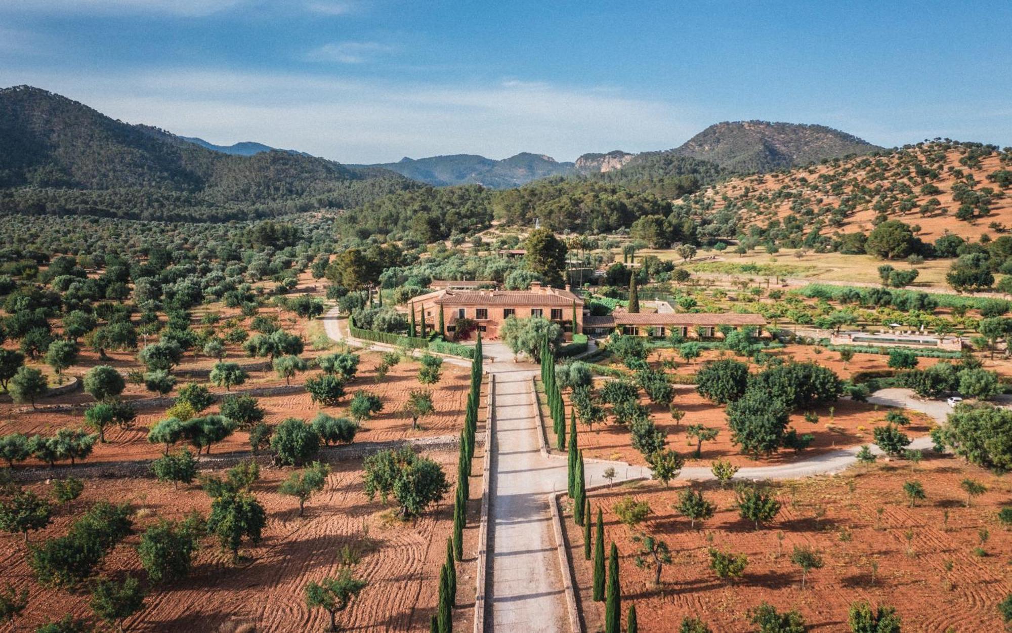 Finca Es Cabas Santa Maria del Cami  Dış mekan fotoğraf