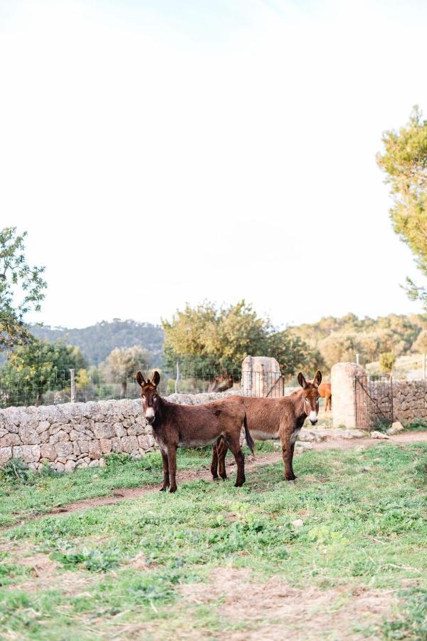 Finca Es Cabas Santa Maria del Cami  Dış mekan fotoğraf