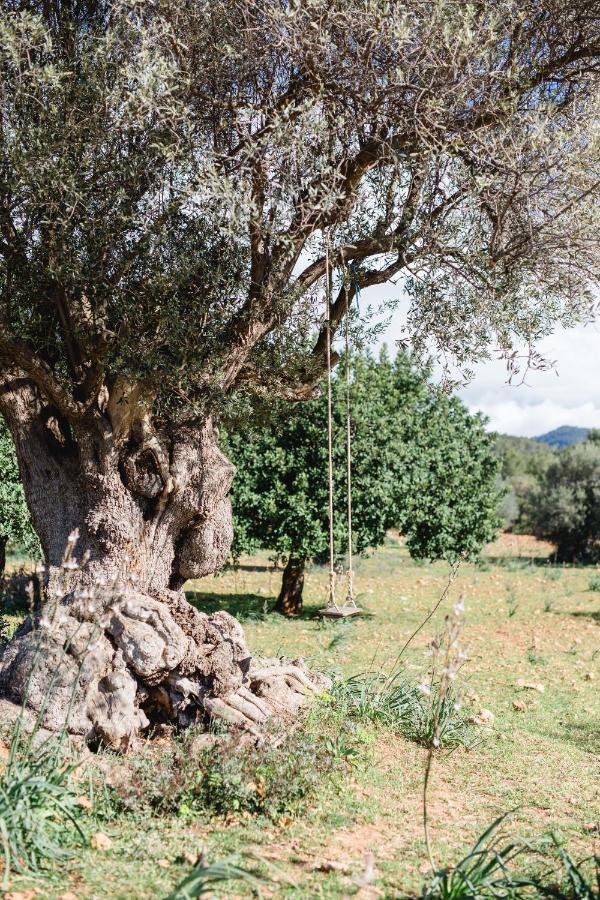 Finca Es Cabas Santa Maria del Cami  Dış mekan fotoğraf