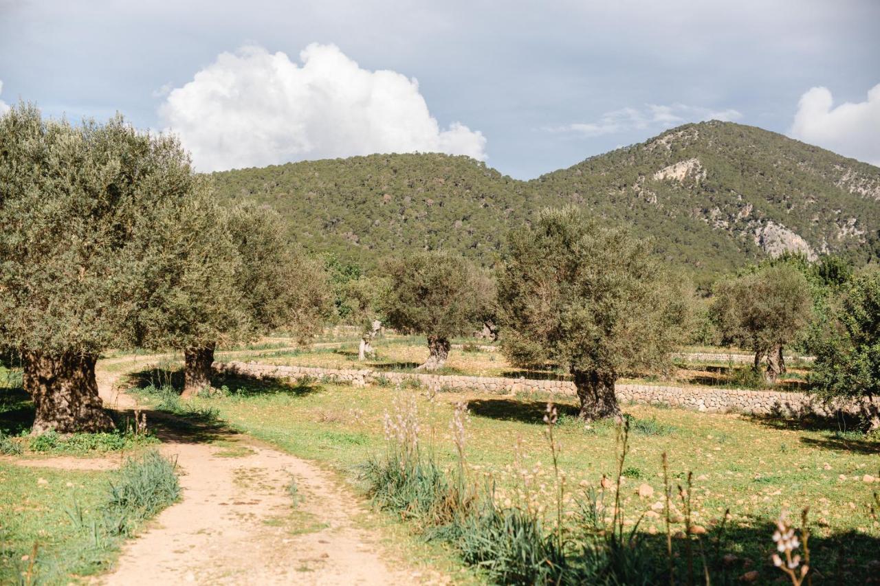 Finca Es Cabas Santa Maria del Cami  Dış mekan fotoğraf